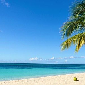 Meet your Posher, Ledia